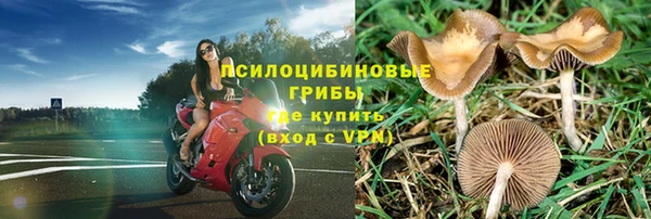 твердый Алексеевка