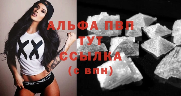 твердый Алексеевка