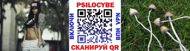 наркотики  дарк нет какой сайт  Псилоцибиновые грибы Cubensis  Курлово 