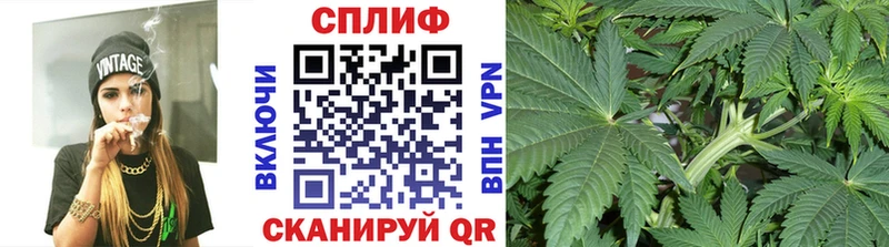 Марихуана семена Курлово